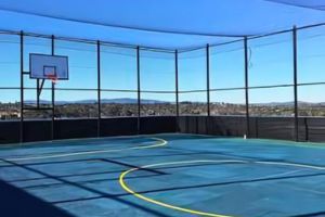Basketball Court